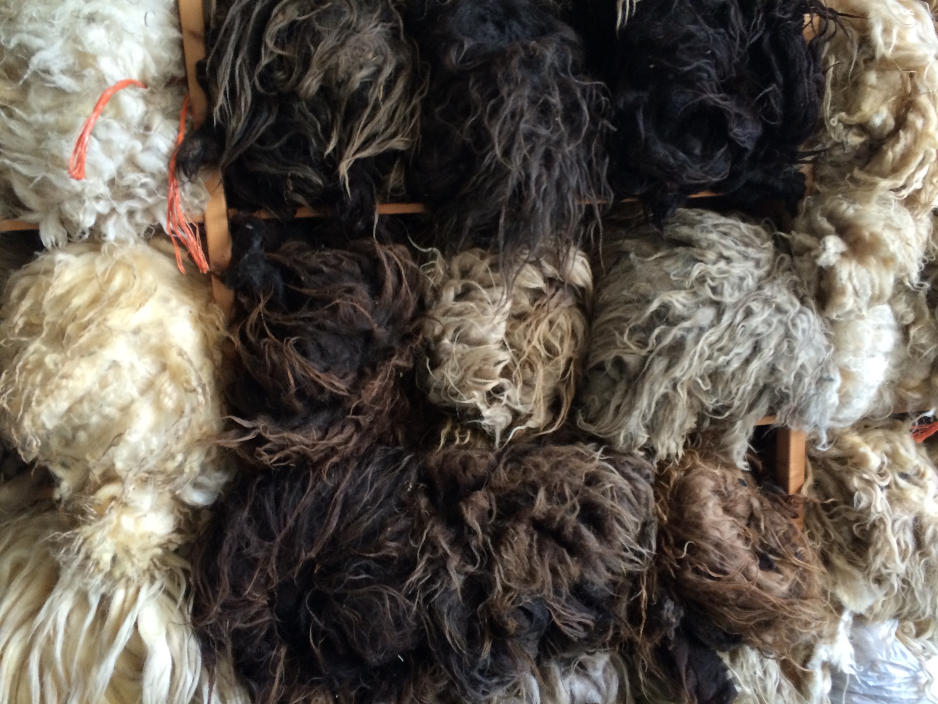 ruwe wol soorten verkoop voor spinnen en vilten interieur Ruw& Ruig